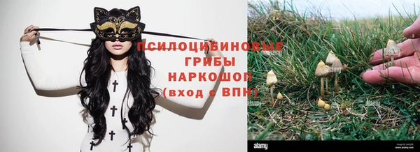 гашишное масло Аркадак