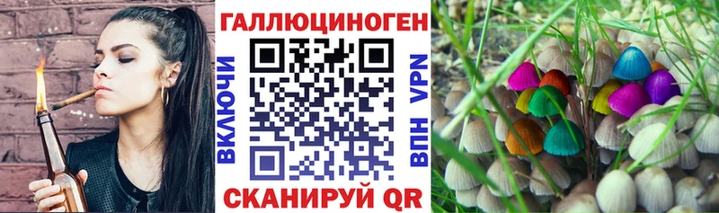 Псилоцибиновые грибы Psilocybe  blacksprut   Менделеевск 