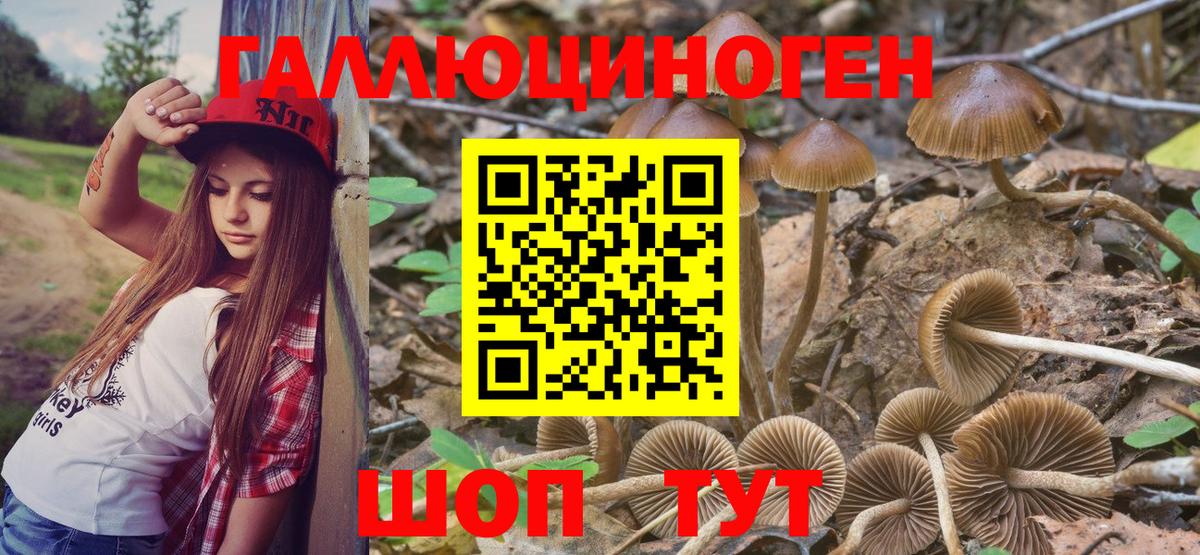 Псилоцибиновые грибы мицелий Менделеевск